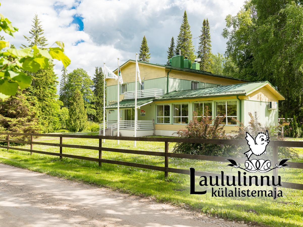 Laululinnu Guesthouse Jarvajoe Kültér fotó